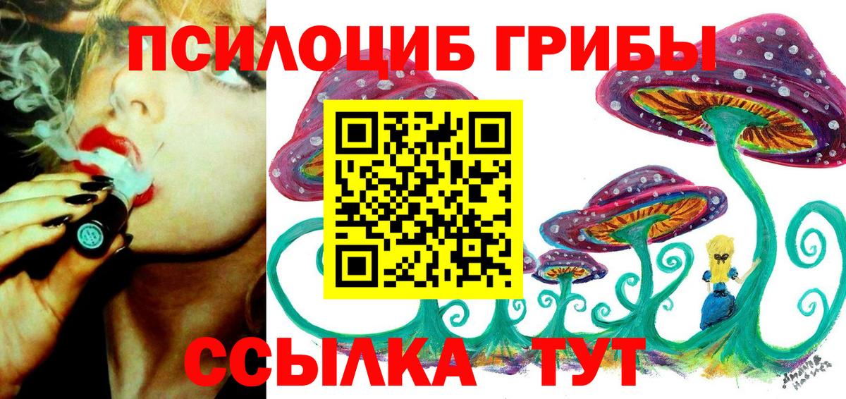 Псилоцибиновые грибы мухоморы  Вход с VPN  Йошкар-Ола  Псилоцибиновые грибы Psilocybe 