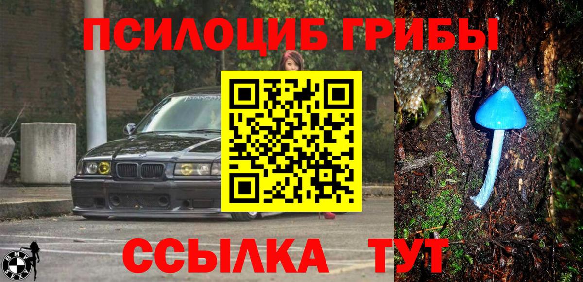 Псилоцибиновые грибы Magic Shrooms Йошкар-Ола